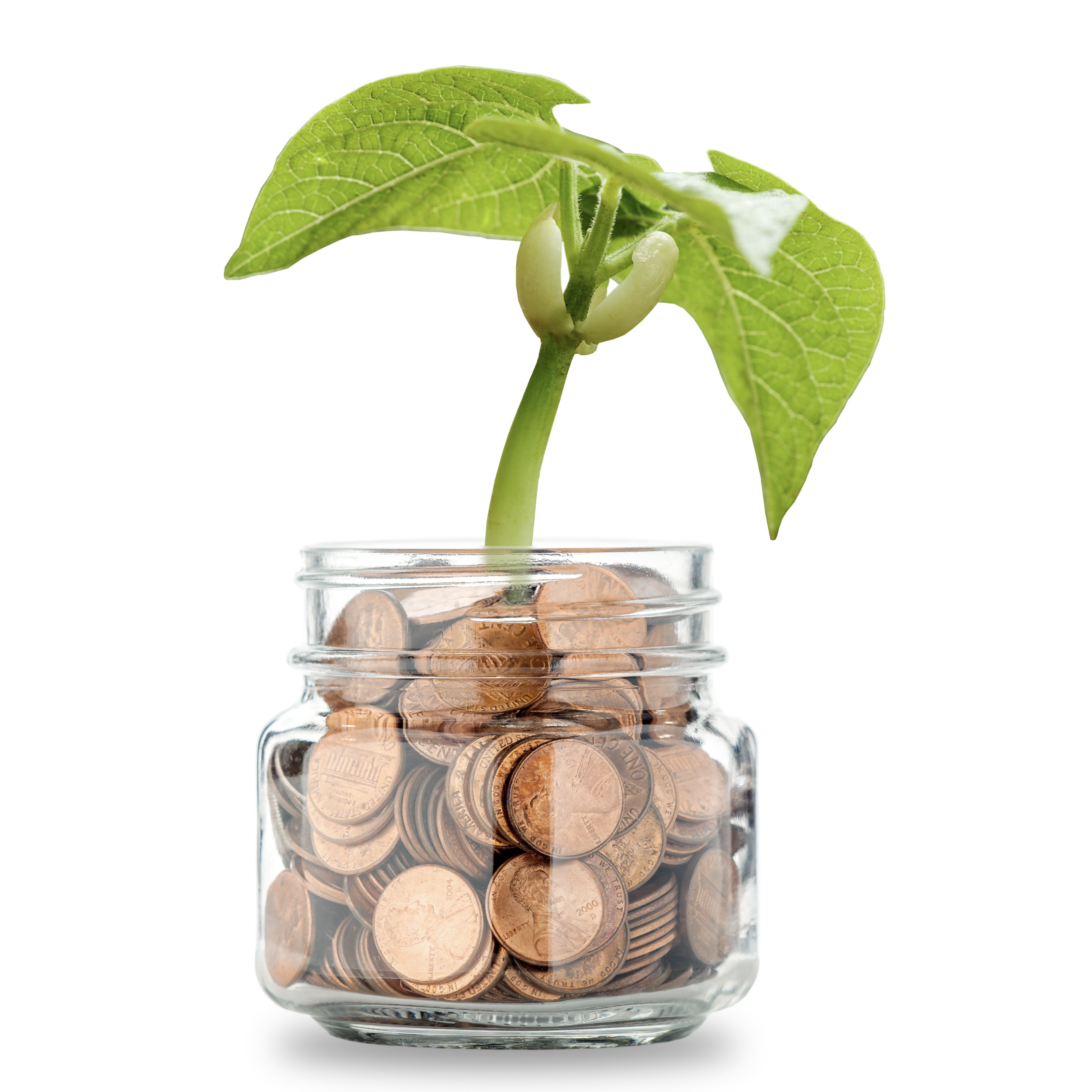 مدیریت مالی