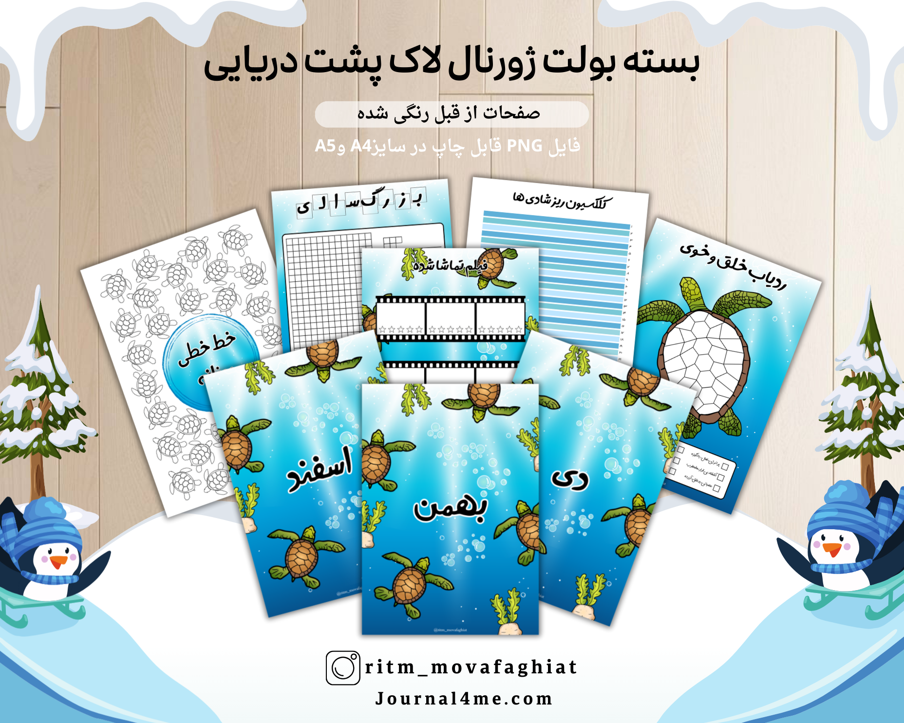 ژورنال زمستانی/ لاک پشت دریایی