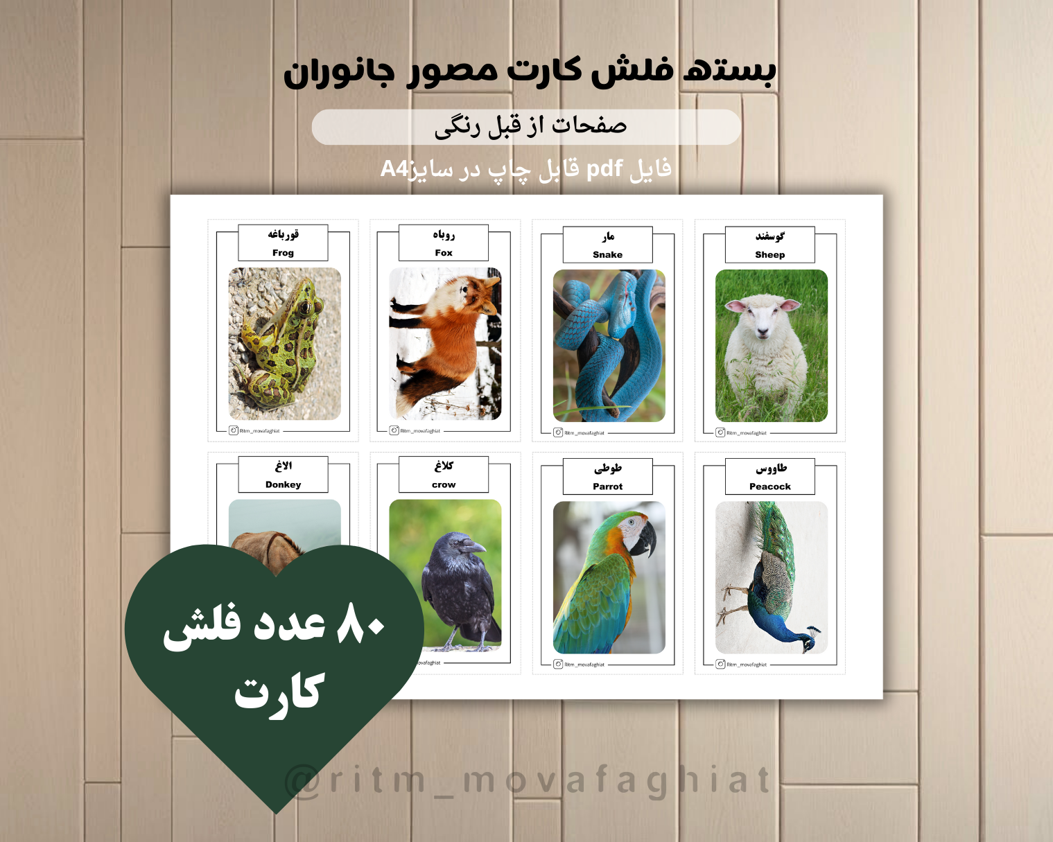 فایل قابل چاپ ،فلش کارت جانوران